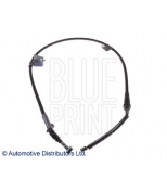 BLUE PRINT - ADN146299 - 